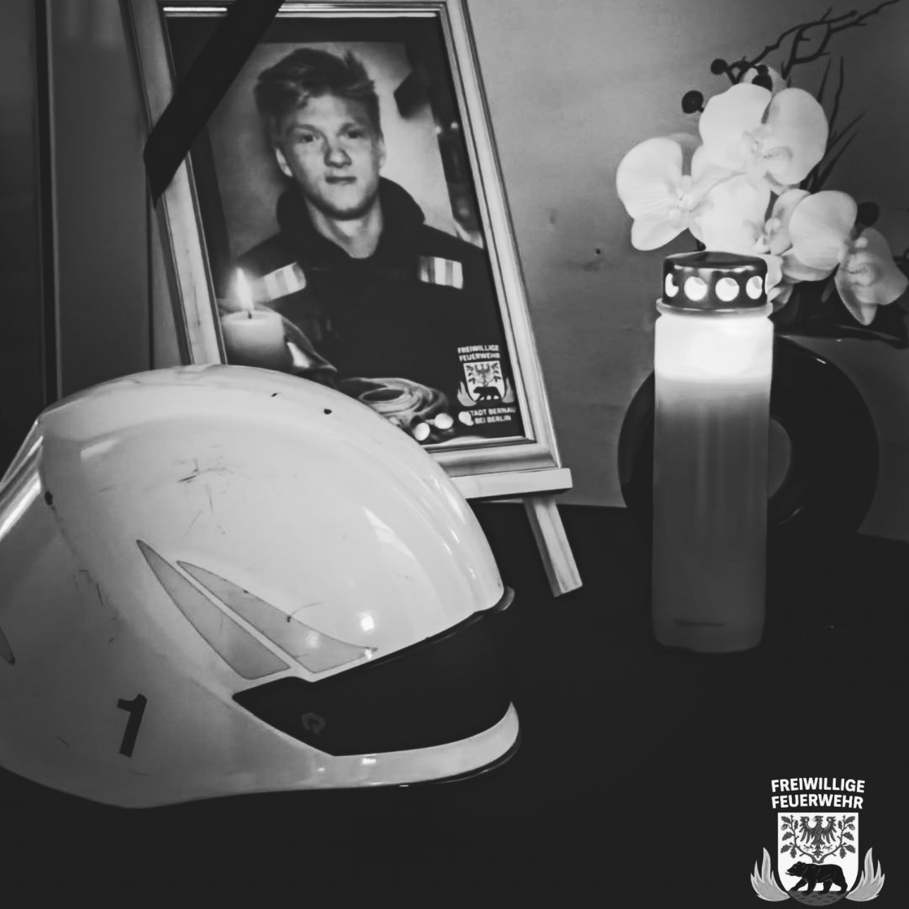 605699196 17895738180364354 7694080531348572307 N