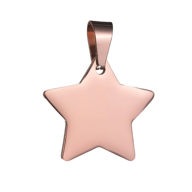 Stern Anhaenger Rose Erinerungsschmuck Fingerabdruck Hand Fußabdruck Trauer Sternrnkinder Mama Papa Star Gedenschmuck