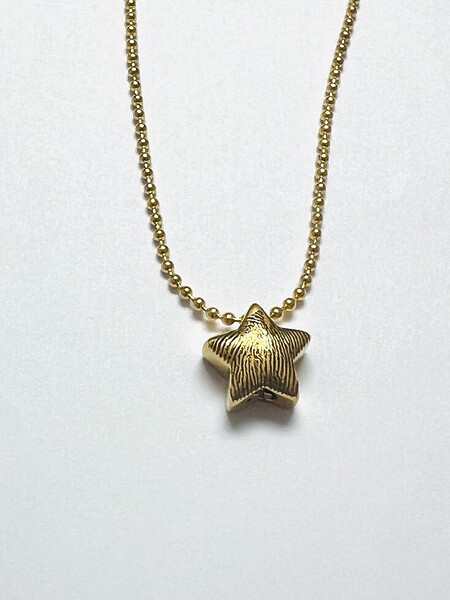 Edelstahl Stern Asche Urnenschmuck Vergoldet Gold Individuelle Gravur Kette Anhaenger Personalisiert Fingerabdruck Fingerprint Erinnerungsschmuck Trauer Gedenk