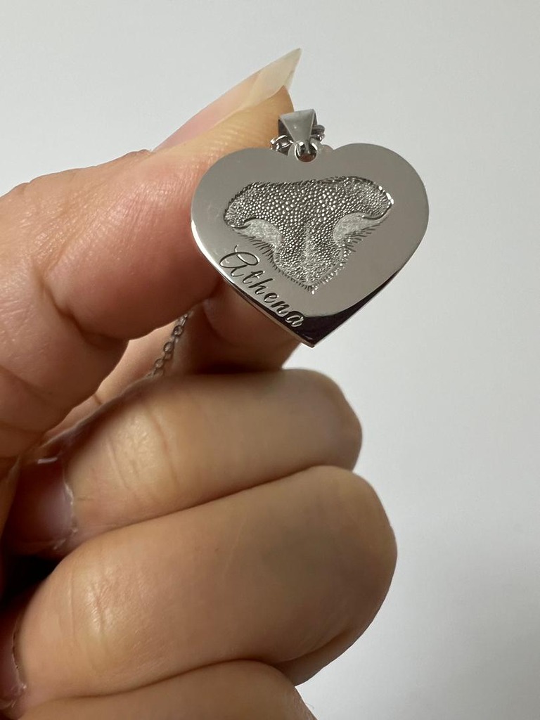 Huella de nariz de perro Coraz&oacute;n Plata Joyas Colgante Cadena Pieza de joyer&iacute;a