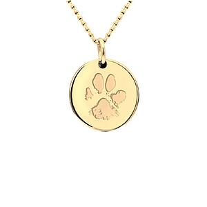 Pfotenabdruck Schmuck Anhenger Silber Gold Tot Erinnerung Vierbeiner Gednekschmuck Individuelle Tiergravur Personalisiert Hundepfote Katzenpfote Abdruck